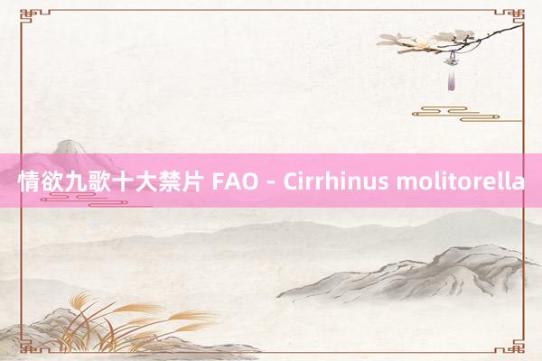 情欲九歌十大禁片 FAO - Cirrhinus molitorella