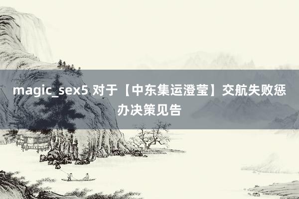 magic_sex5 对于【中东集运澄莹】交航失败惩办决策见告