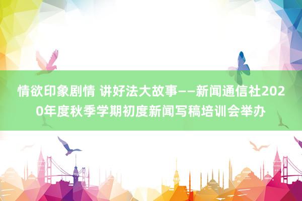 情欲印象剧情 讲好法大故事——新闻通信社2020年度秋季学期初度新闻写稿培训会举办