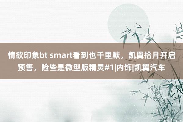 情欲印象bt smart看到也千里默，凯翼拾月开启预售，险些是微型版精灵#1|内饰|凯翼汽车